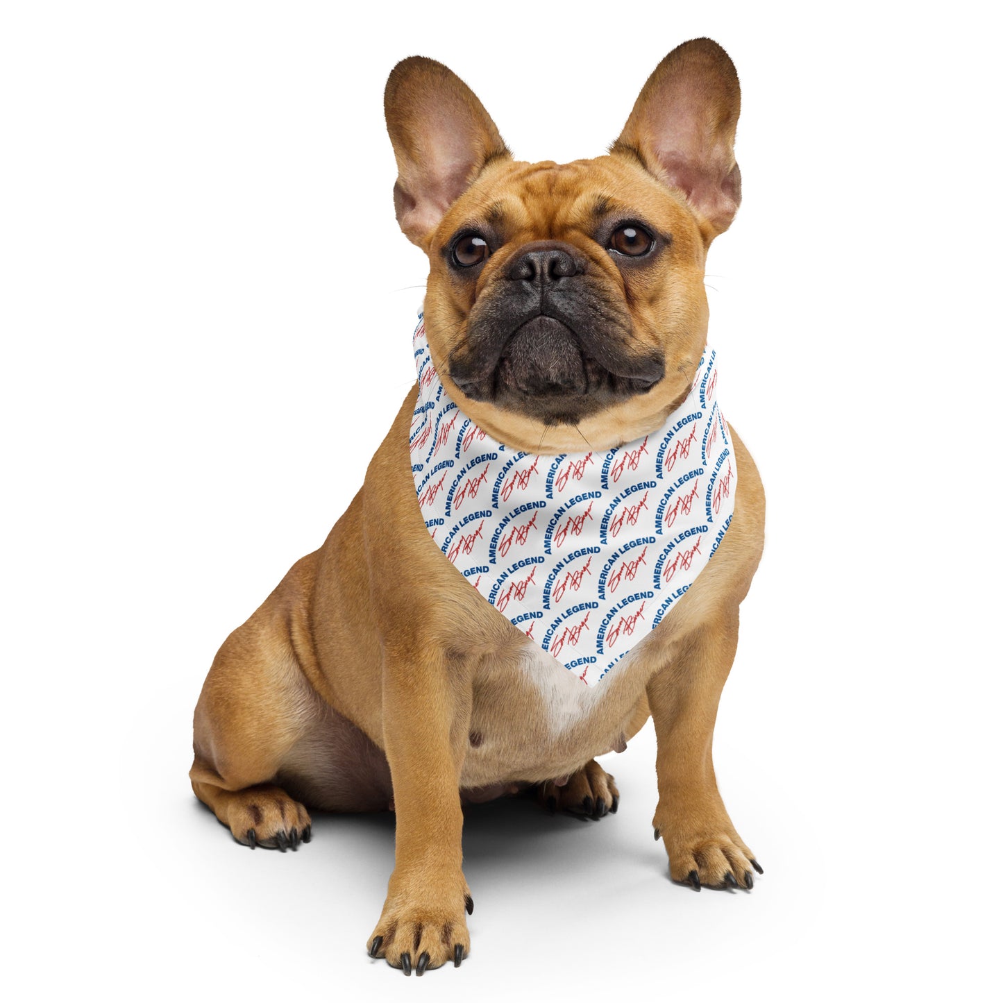 Sonny American Legend- All-over print bandana